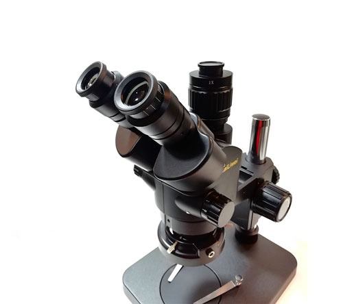 ۲۰۲۰۱۰۲۶_۰۲۲۴۳۳